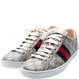Ace Web GG Supreme Sneakers Size 36.5